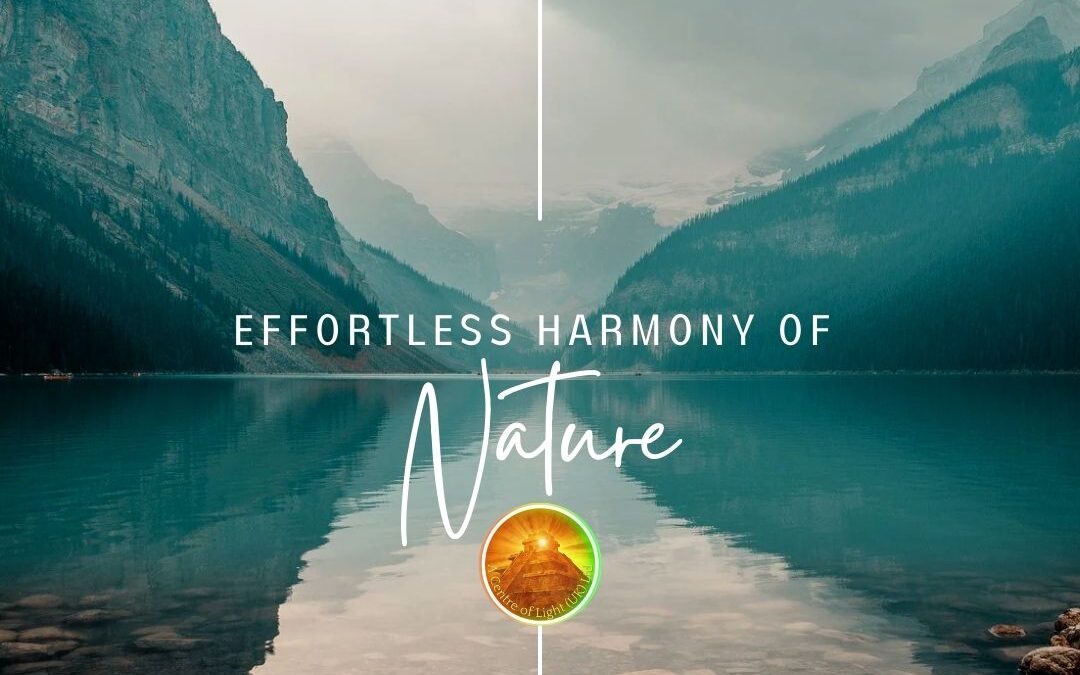 "Discover the effortless harmony of nature and spiritual growth. Explore how meditation and self-realization can lead to inner peace, oneness with the cosmos, and true spiritual freedom."